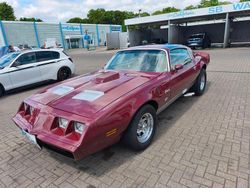 Rot Gebraucht 1981 Pontiac Firebird Coupé | 22.999 €