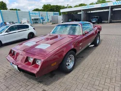 Rot Gebraucht 1981 Pontiac Firebird Coupé | 22.999 €