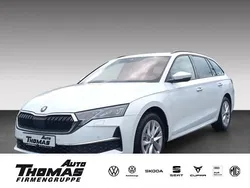Weiß Gebraucht 2024 Skoda Octavia Selection Kombi | 29.990 € (Fairer Preis)