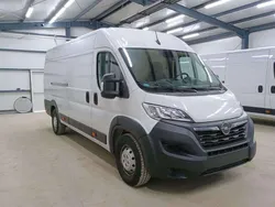 Weiß Gebraucht 2024 Opel Movano Van | 27.890 € (Superpreis)