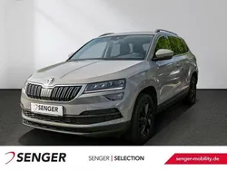 Grau Gebraucht 2020 Skoda Karoq Drive SUV | 20.490 € (Superpreis)