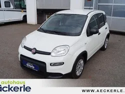 Colore esterno (weiss) Gebraucht 2023 Fiat Panda Kleinwagen | 12.390 € (Fairer Preis)