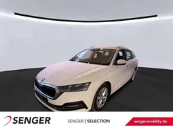 Candy weiss Gebraucht 2022 Skoda Octavia Style Kombi | 21.990 € (Fairer Preis)