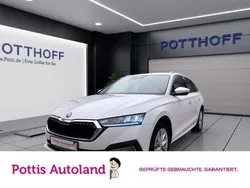 Candyweiss Gebraucht 2023 Skoda Octavia Style Kombi | 24.222 € (Guter Preis)
