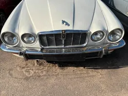 Weiß Gebraucht 1976 Jaguar XJ Limousine | 15.900 €