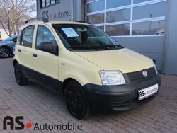Gelb Gebraucht 2010 Fiat Panda Active Kleinwagen | 1.590 € (Guter Preis)
