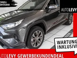 Grau Neu 2025 Toyota RAV4 Hybrid SUV | 44.359 € (Fairer Preis)