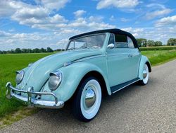 Blau Gebraucht 1963 VW Käfer Cabrio | 45.500 €