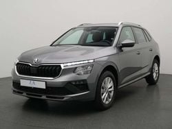 Grau Gebraucht 2024 Skoda Kamiq Selection SUV | 21.990 € (Guter Preis)