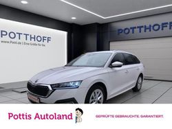 Weiss Gebraucht 2023 Skoda Octavia Style Kombi | 24.577 € (Fairer Preis)