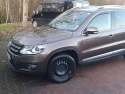 Braun Gebraucht 2014 VW Tiguan Exclusive SUV | 10.700 € (Guter Preis)