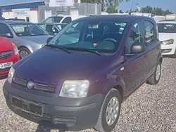 Violett Gebraucht 2010 Fiat Panda Kleinwagen | 2.390 € (Fairer Preis)
