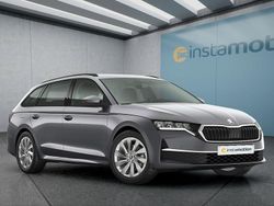 Grau Neu 2025 Skoda Octavia Kombi | 26.749 € (Fairer Preis)