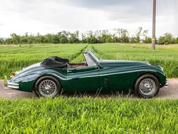 Gebraucht 1955 Jaguar XK Cabrio | 129.800 €