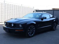 Schwarz Gebraucht 2005 Ford Mustang GT | 15.450 € (Guter Preis)