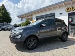 Grau Gebraucht 2019 Ford Ecosport Cool & Connect SUV | 8.000 € (Superpreis)