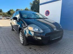 Gebraucht 2012 Fiat Punto Pop Kleinwagen | 1.499 € (Superpreis)