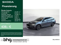 Graphitegrau metallic Gebraucht 2024 Skoda Octavia Selection Kombi | 32.730 € (Guter Preis)