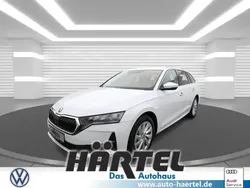Moonweiß perleffekt Neu 2024 Skoda Octavia Selection Kombi | 33.300 € (Guter Preis)