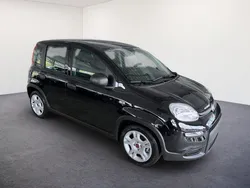 Schwarz schwarz Neu 2024 Fiat Panda Kleinwagen | 17.290 € (Etwas zu teuer)