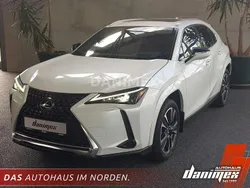 Weiß Gebraucht 2024 Lexus UX 250h Executive Line SUV | 33.999 € (Fairer Preis)