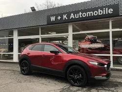 Andere Gebraucht 2024 Mazda CX-30 Homura-Line SUV | 29.250 € (Superpreis)