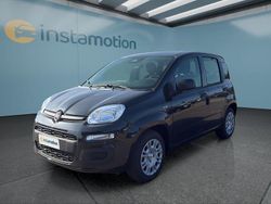 Schwarz Neu 2025 Fiat Panda Kleinwagen | 15.449 € (Fairer Preis)