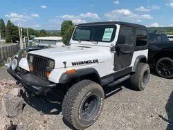 Weiß Gebraucht 1991 Jeep Wrangler SUV | 15.500 €