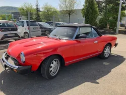 Rot Gebraucht 1985 Fiat 124 Cabrio | 14.700 €