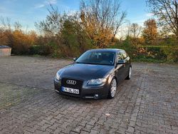 Grau Gebraucht 2005 Audi A3 Ambition Kombi | 5.500 € (Etwas zu teuer)