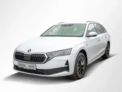 Moonweiss metallic Neu 2025 Skoda Octavia Kombi | 34.990 € (Guter Preis)