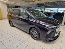 Violett Neu 2025 DFSK Forthing 9 Van / Kleinbus | 49.790 € (Fairer Preis)