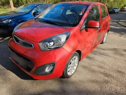 Rot Gebraucht 2013 Kia Picanto Spirit Kleinwagen | 6.750 € (Fairer Preis)