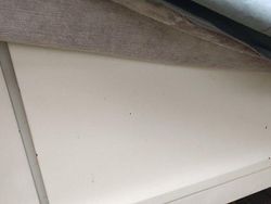 Weiß Gebraucht 1981 Citroën 2CV Van / Kleinbus | 7.997 €