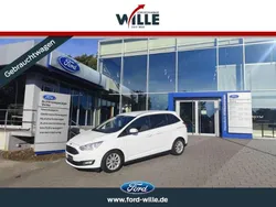 Weiss Gebraucht 2016 Ford Grand C-Max Titanium Van / Kleinbus | 15.990 € (Etwas zu teuer)