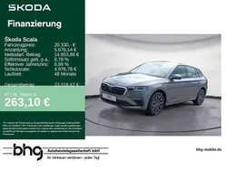 Grau Gebraucht 2024 Skoda Scala Drive Kleinwagen | 20.330 € (Fairer Preis)