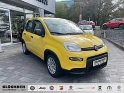 Gelb Neu 2024 Fiat Panda Kleinwagen | 15.990 €
