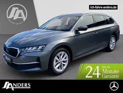 Graphitgrau Gebraucht 2024 Skoda Octavia Selection Kombi | 32.454 € (Guter Preis)