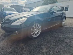 Grün Gebraucht 2006 Mercedes SLK280 Cabrio | 7.990 € (Superpreis)