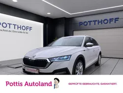 Weiss Gebraucht 2023 Skoda Octavia Kombi | 31.977 € (Guter Preis)