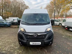 Weiss Neu 2024 Opel Movano Van | 35.700 € (Teuer)
