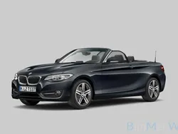 Grau Gebraucht 2016 BMW 220 Sport Line Cabrio | 19.900 € (Fairer Preis)