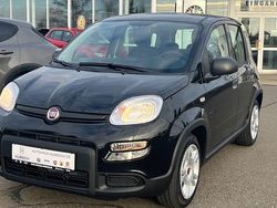 Schwarz Gebraucht 2024 Fiat Panda Kleinwagen | 14.590 € (Fairer Preis)
