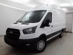 Frost weiß Gebraucht 2024 Ford Transit Trend Van / Kleinbus | 29.990 € (Fairer Preis)