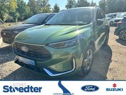 Bursting green Gebraucht 2024 Ford Kuga SUV | 42.490 € (Etwas zu teuer)
