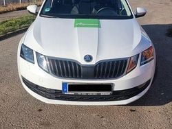 Weiß Gebraucht 2019 Skoda Octavia Soleil Kombi | 13.685 € (Guter Preis)