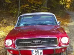 Rot Gebraucht 1967 Ford Mustang Coupé | 27.900 €