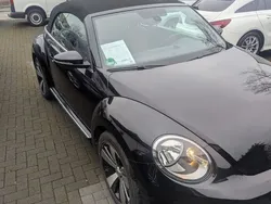 VW Beetle