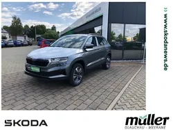 Grau (graphitegrau metallic) Neu 2025 Skoda Karoq Tour SUV | 41.360 € (Teuer)