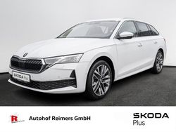 Weiß Gebraucht 2025 Skoda Octavia Tour Limousine | 36.990 € (Etwas zu teuer)